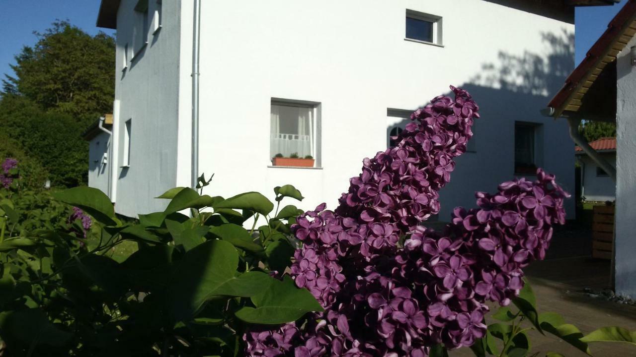 Drifthof Daire Glowe Dış mekan fotoğraf